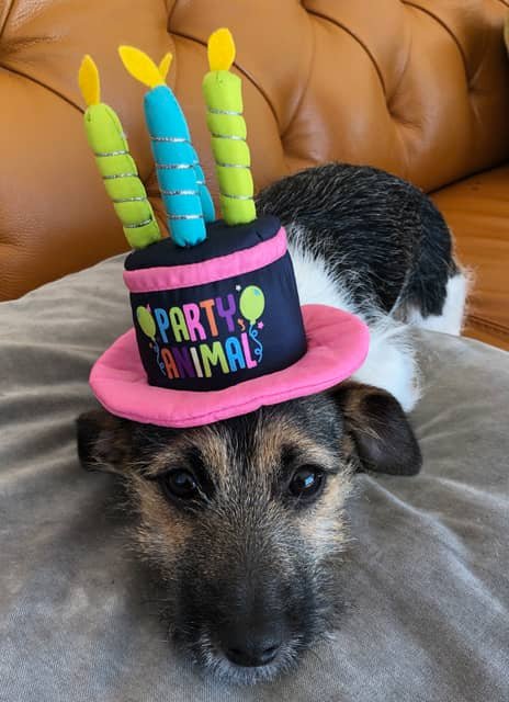 Dotty pic in hat